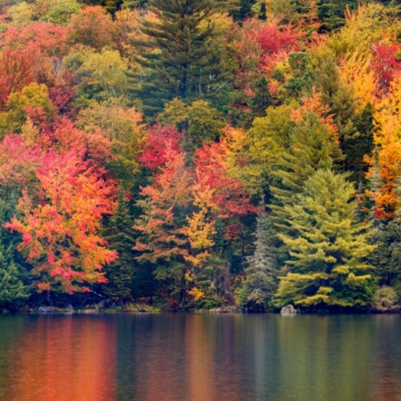 Meet your Posher, Brittanie - Picture 1 of 1